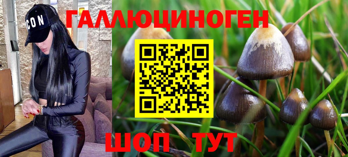 Галлюциногенные грибы MAGIC MUSHROOMS Углич