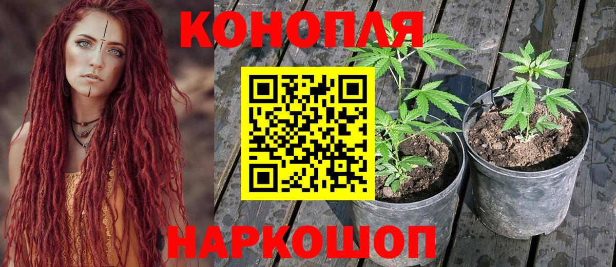 Марихуана White Widow  Каннабис Amnesia  Каннабис MAZAR  Углич  Бошки марихуана тримм  Вход с VPN 